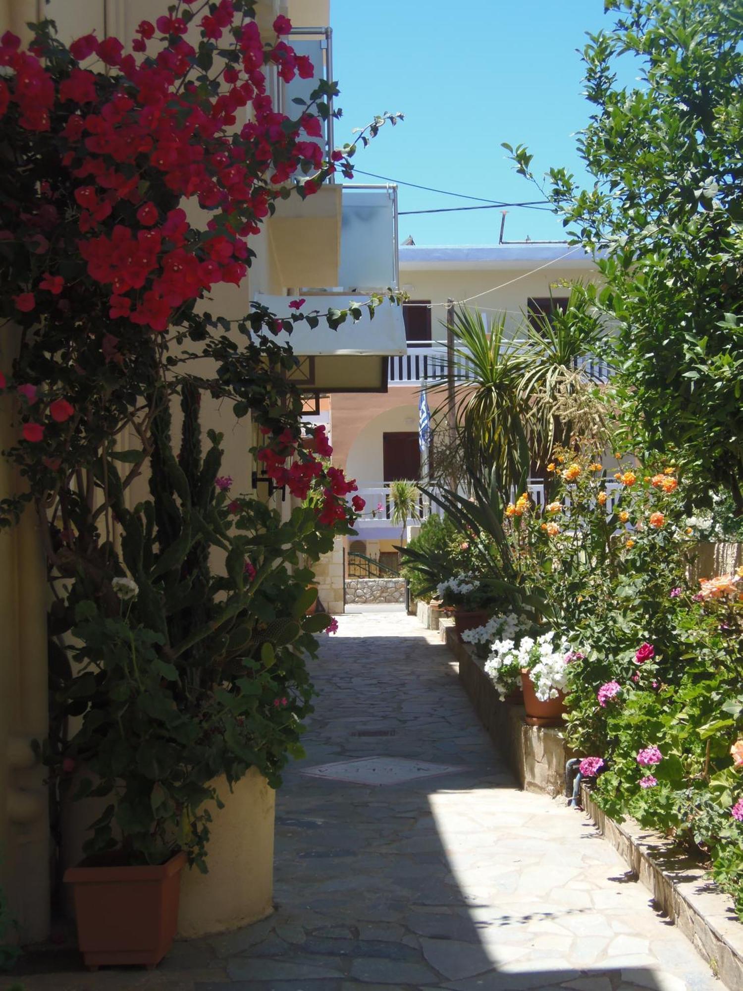 Angelica Studios And Apartments Agia Marina Екстериор снимка