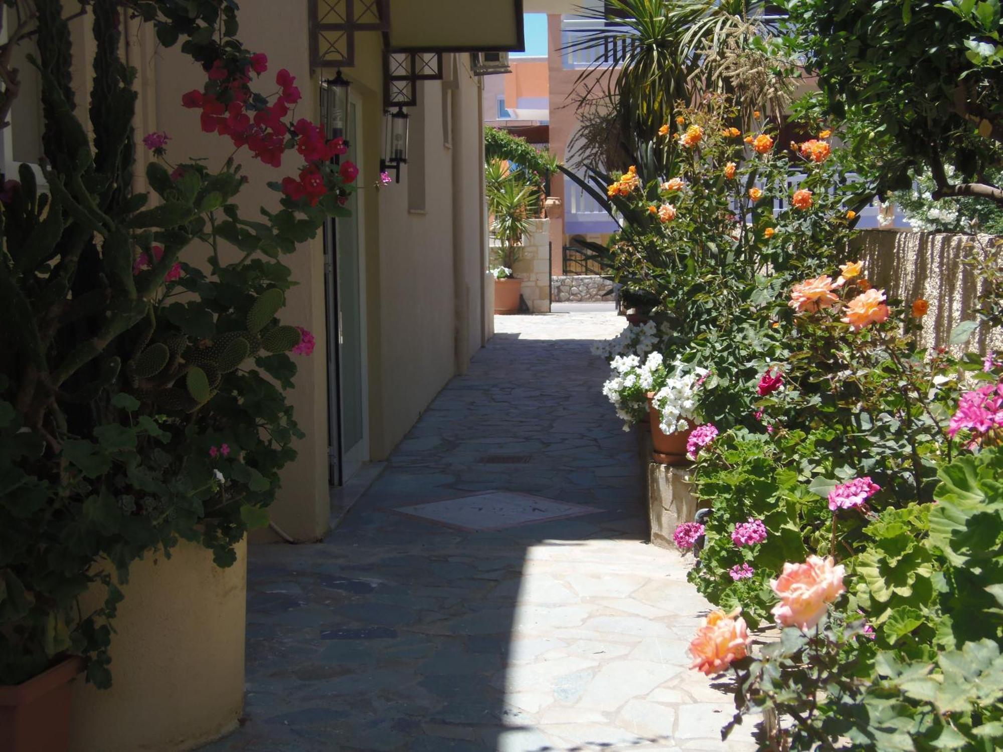 Angelica Studios And Apartments Agia Marina Екстериор снимка